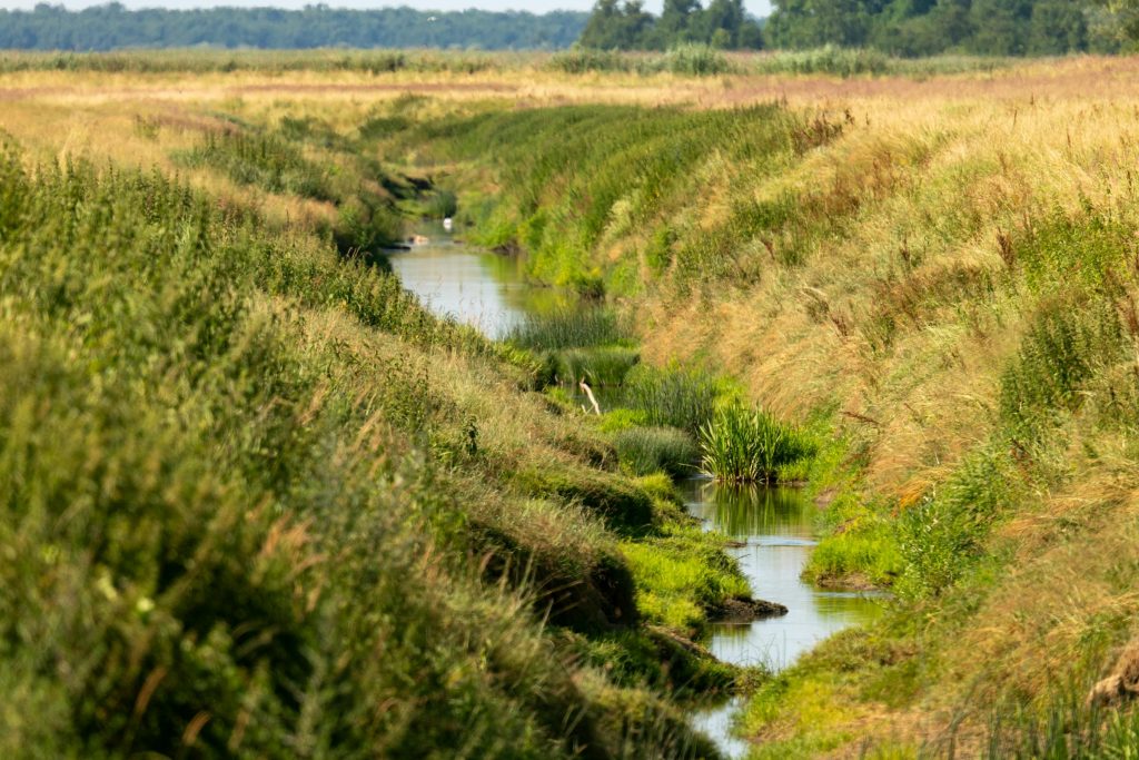 Maximizing Your Loan Potential in Croatia: Expert Tips from Hrvatska poštanska banka and Wustenrot - Como solicitar empréstimo na Croácia