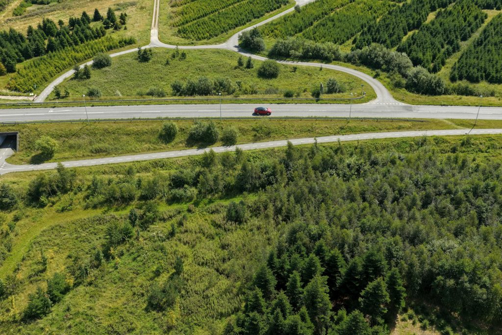 Green Jobs in Denmark: Exploring Opportunities at Vestas and Ørsted for a Sustainable Future - Melhores oportunidades de emprego na Dinamarca