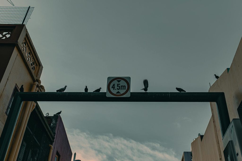 Unlocking Affordable Loans in Poland: A Guide to Low-Interest Options from Leading Banks - Como solicitar empréstimo na Polônia, com juros menores, aprovação facilitada